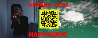 гидра Камышлов