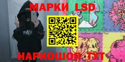 гидра Камышлов