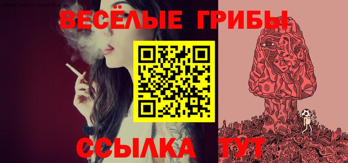 Псилоцибиновые грибы прущие грибы Майский