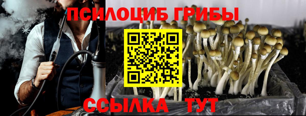 Псилоцибиновые грибы ЛСД  Вход с VPN  Галлюциногенные грибы Psilocybe  купить наркотики сайты  Майский 